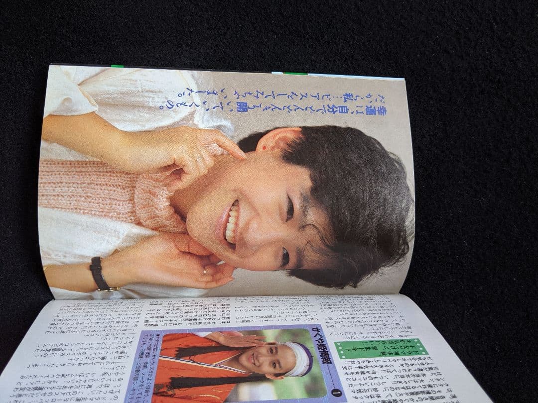 ダンク斉藤由貴小泉今日子中森明菜おニャン子クラブ石野陽子岡田有希子