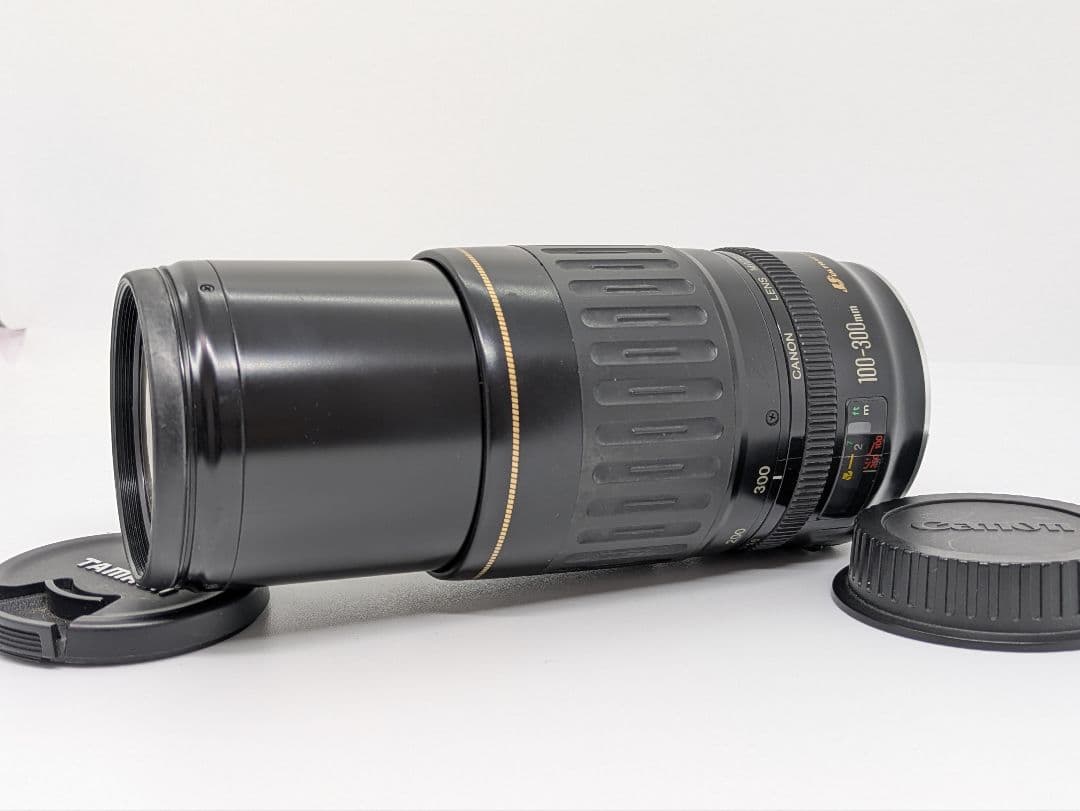 12月1日限定価格♪Canon EF 100-300mm USM