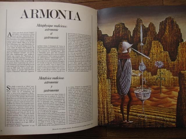 REMEDIOS VARO レメディオス・バロ 画集 - メルカリ