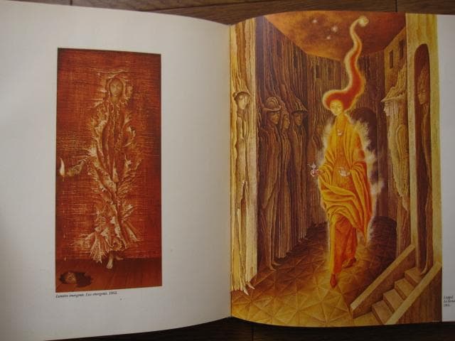 REMEDIOS VARO レメディオス・バロ 画集 - メルカリ