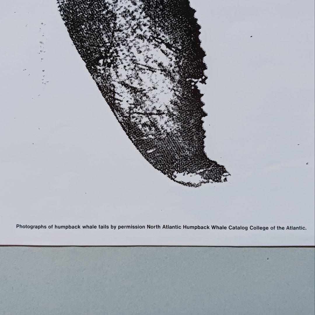 ◻️コム・デ・ギャルソン クジラ ブリーチング 特大ポスター