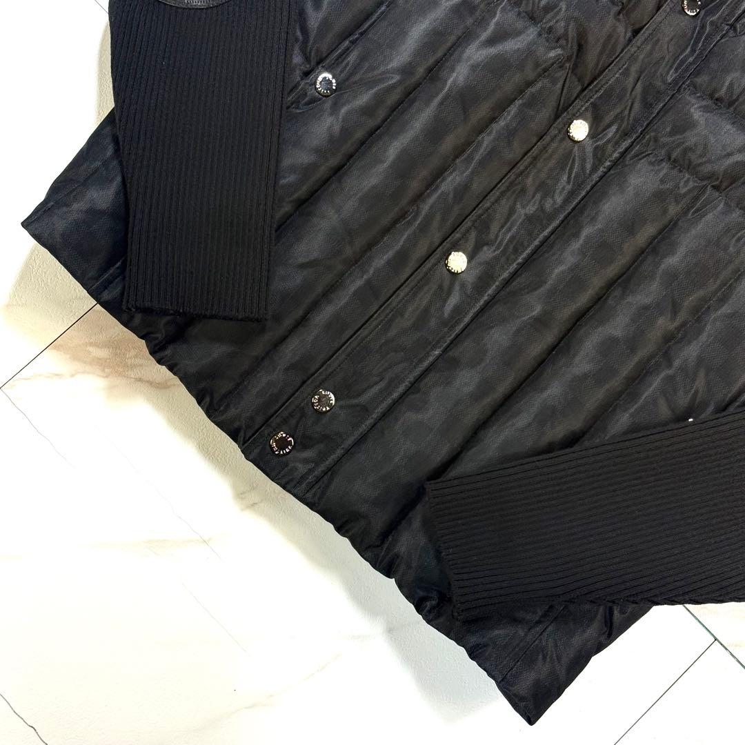 極美品/XL】ルイヴィトン ダミエ柄 ダウンジャケット カウレザー