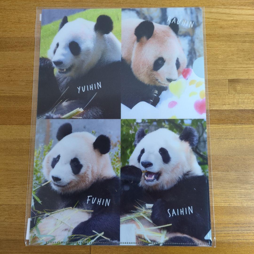 アドベンチャーワールド パンダファミリー A4 クリアファイル 未使用