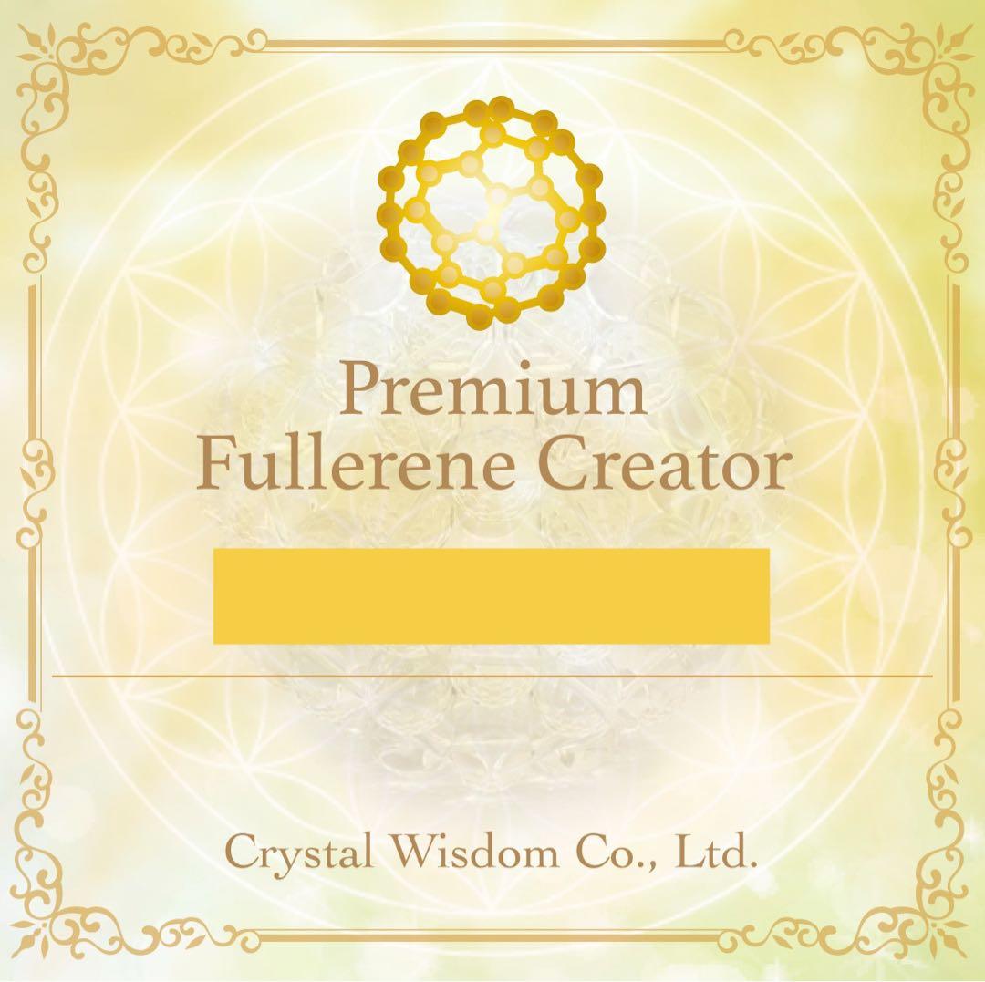 新作❣️Wフラーレン❣️特大フラーレンIN天然フラーレン☆シュンガイト☆