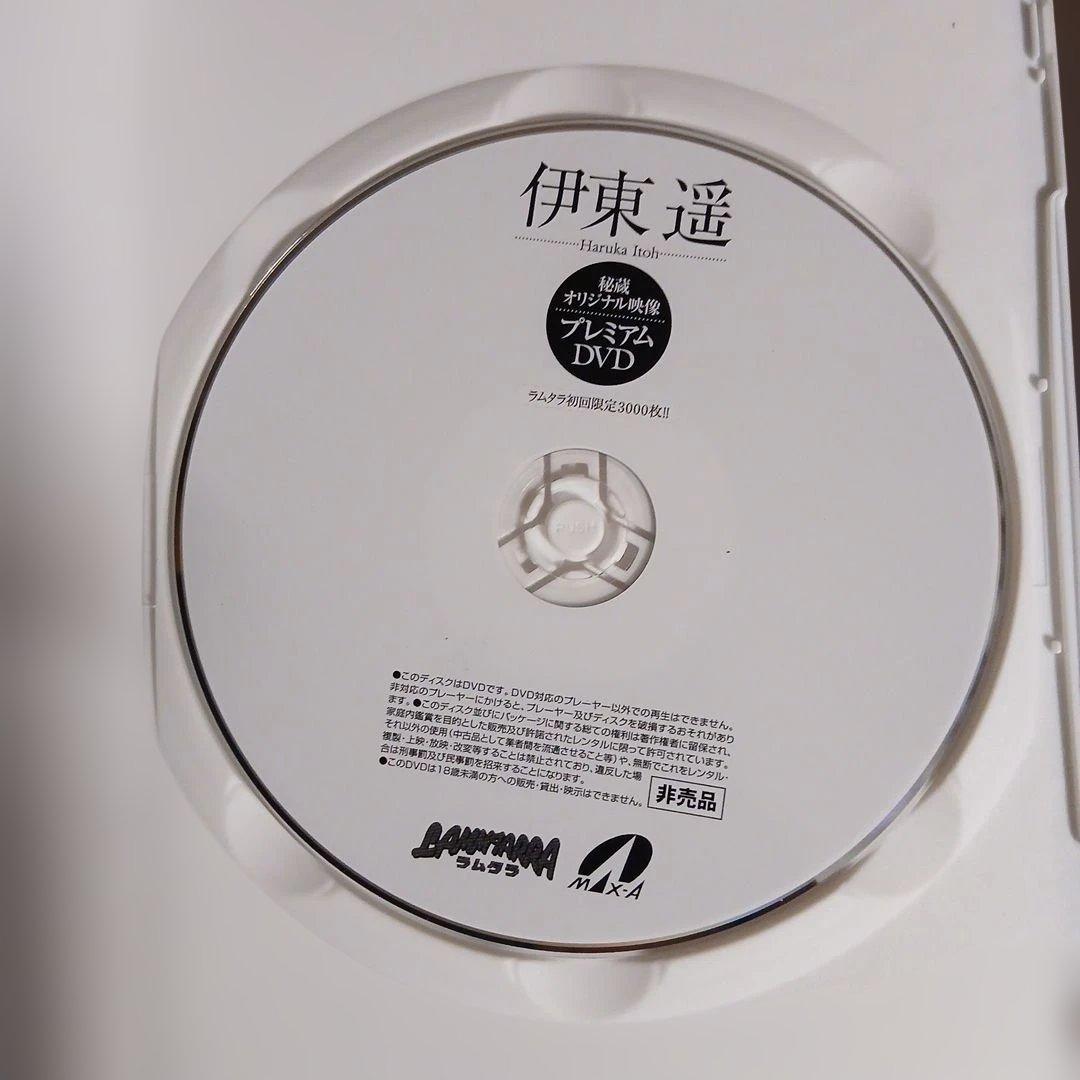 k*k様 子役時期　伊東遥 プレミアムDVD　非売品