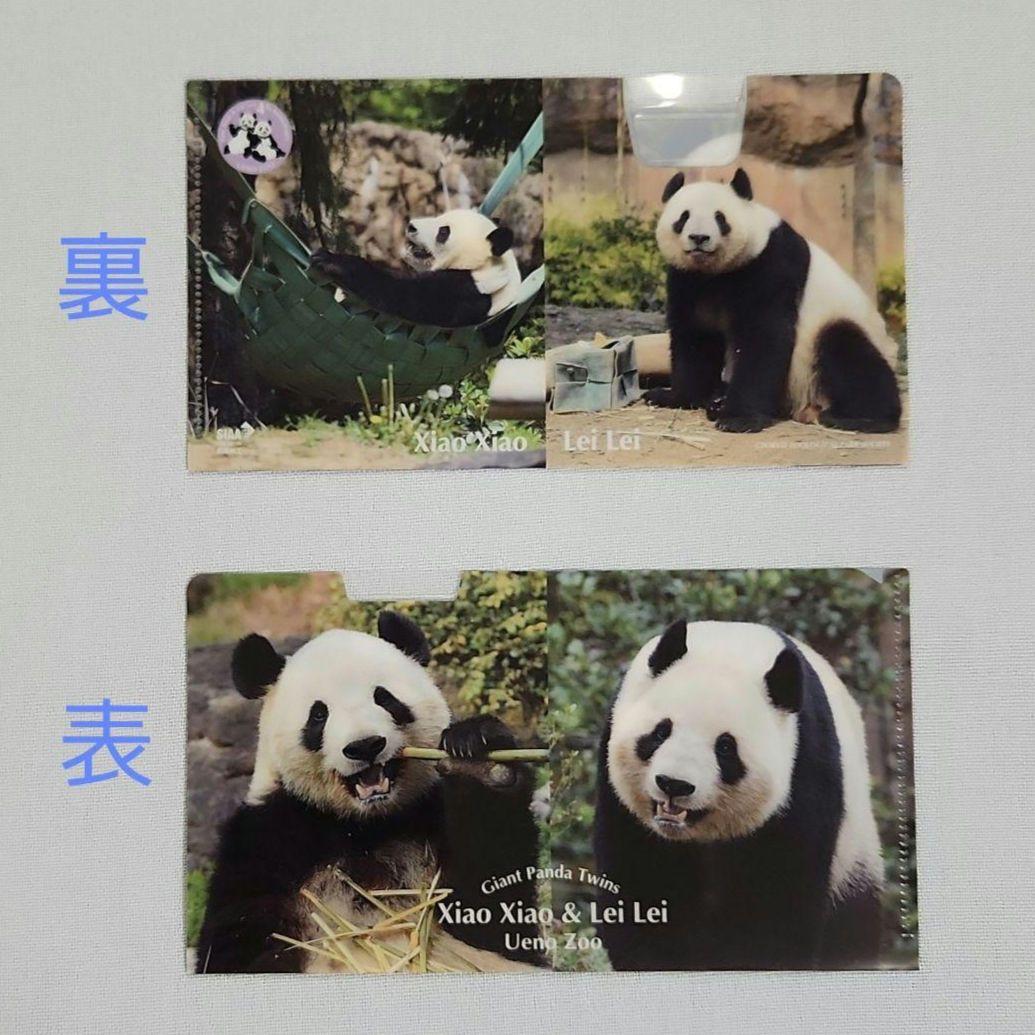 完売品 上野動物園 シャオシャオ レイレイ タンブラー 4歳記念 マルチ