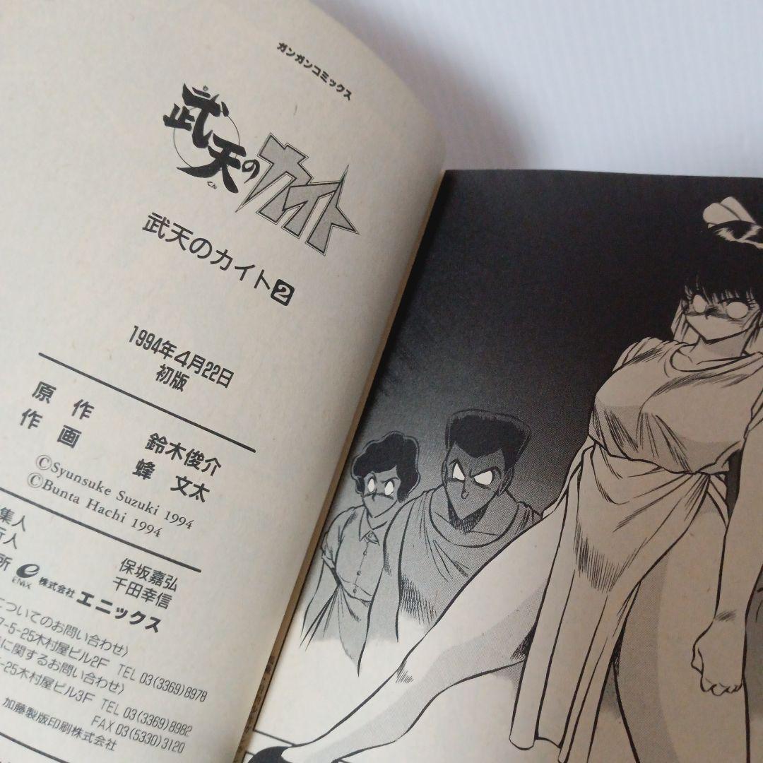 武天のカイト 2巻 初版 希少 廃盤 コミック マンガ 漫画 ガンガン