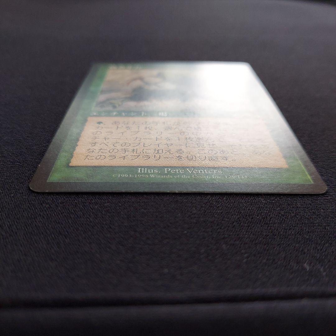 MTG 適者生存 エクソダス 日本語版 緑属性 エンチャント - メルカリ