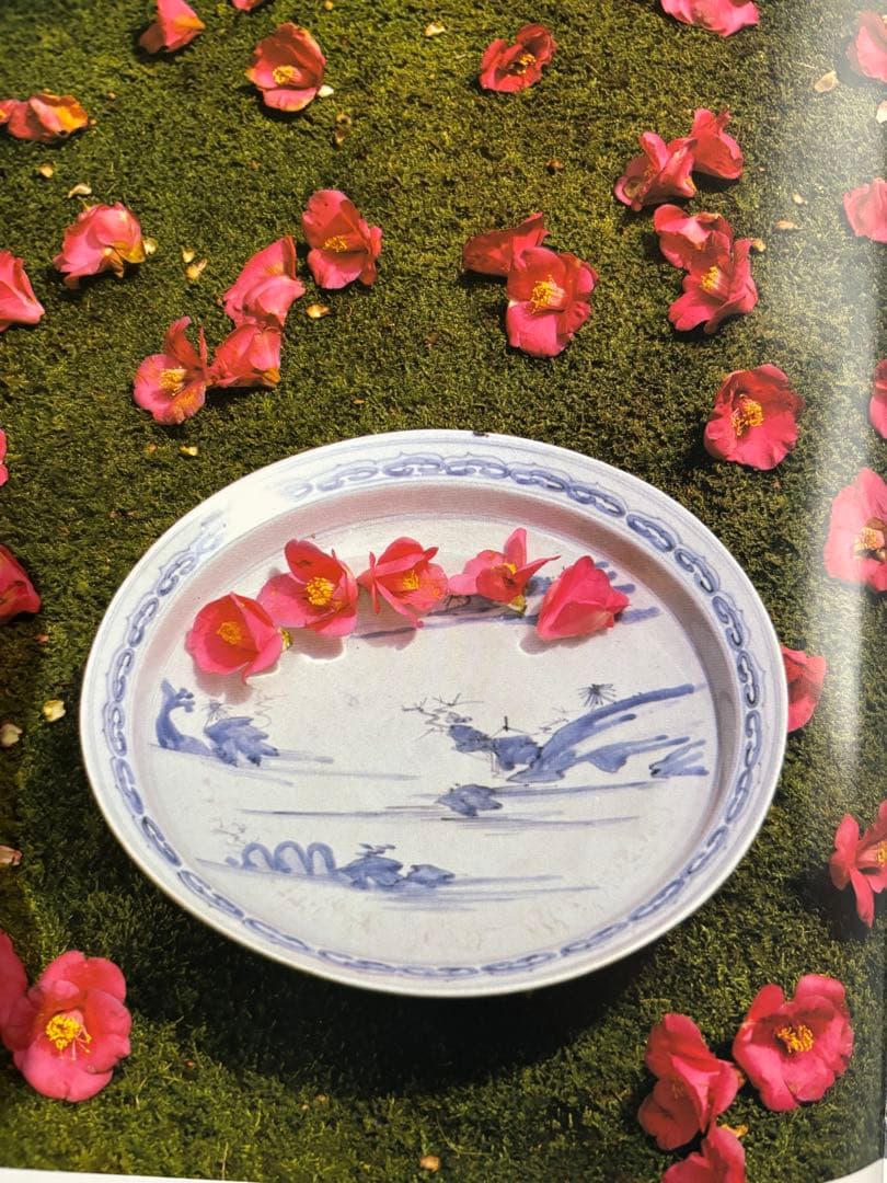 楽天市場】志野焼の通販 「渋さ 枯れ味 志野焼の魅力！」 志野皿(幅