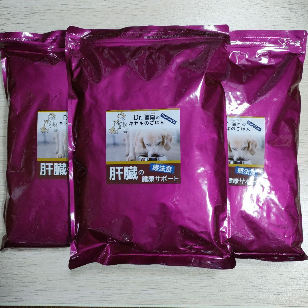 パイパティローマ VHS 今野登茂子