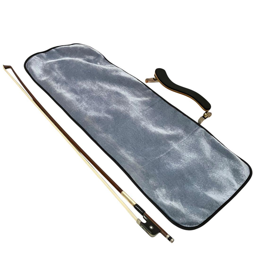 カルロジョルダーノ ビオラ VL-3 弦楽器 ケース付 ヴィオラ