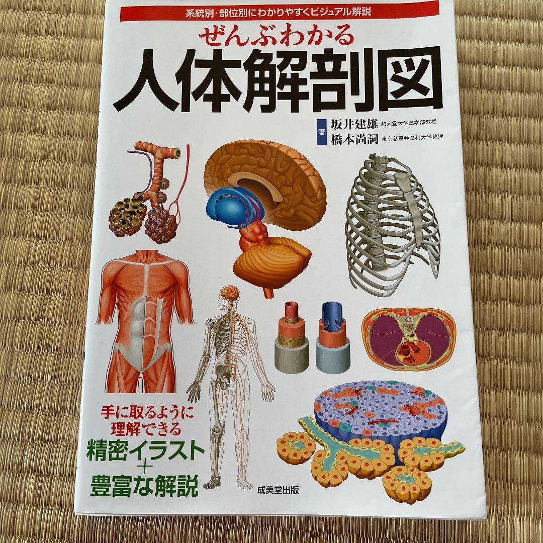 ぜんぶわかる人体解剖図 系統別・部位別にわかりやすくビジュアル解説