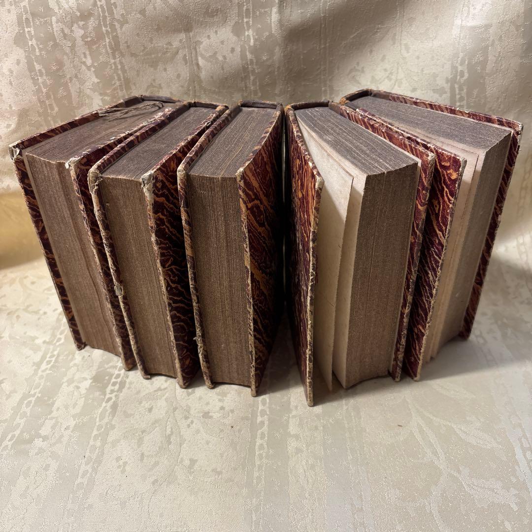 アンティーク ビンテージ フランス語 洋書 古書 洋古書 5巻セット