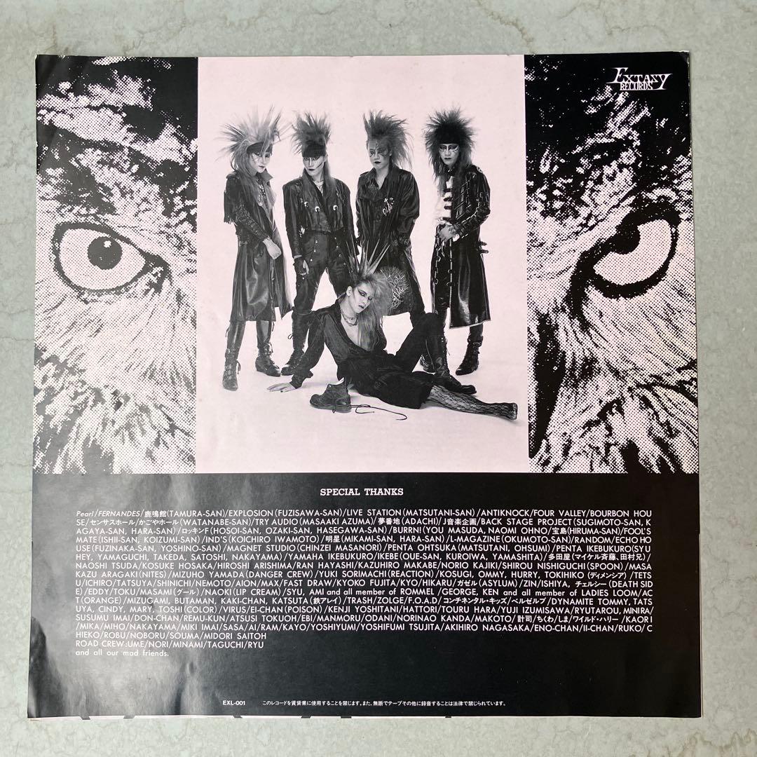 X VANISHING VISION 5000枚限定ピクチャーレコード 開封品 - メルカリ