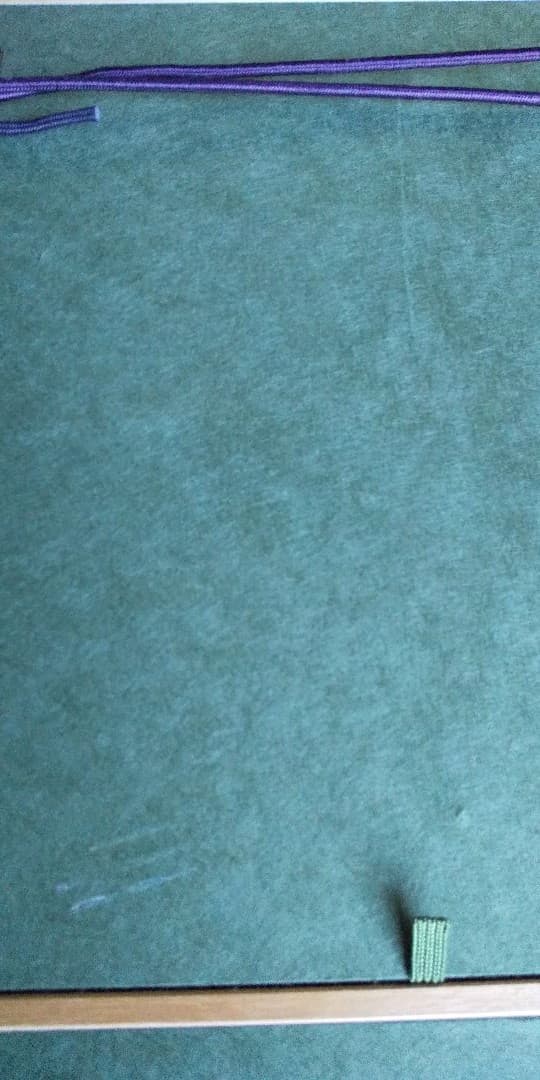 日本画 胡蝶蘭 森脇正人作 F6号 美術品 かわいいラン - メルカリ