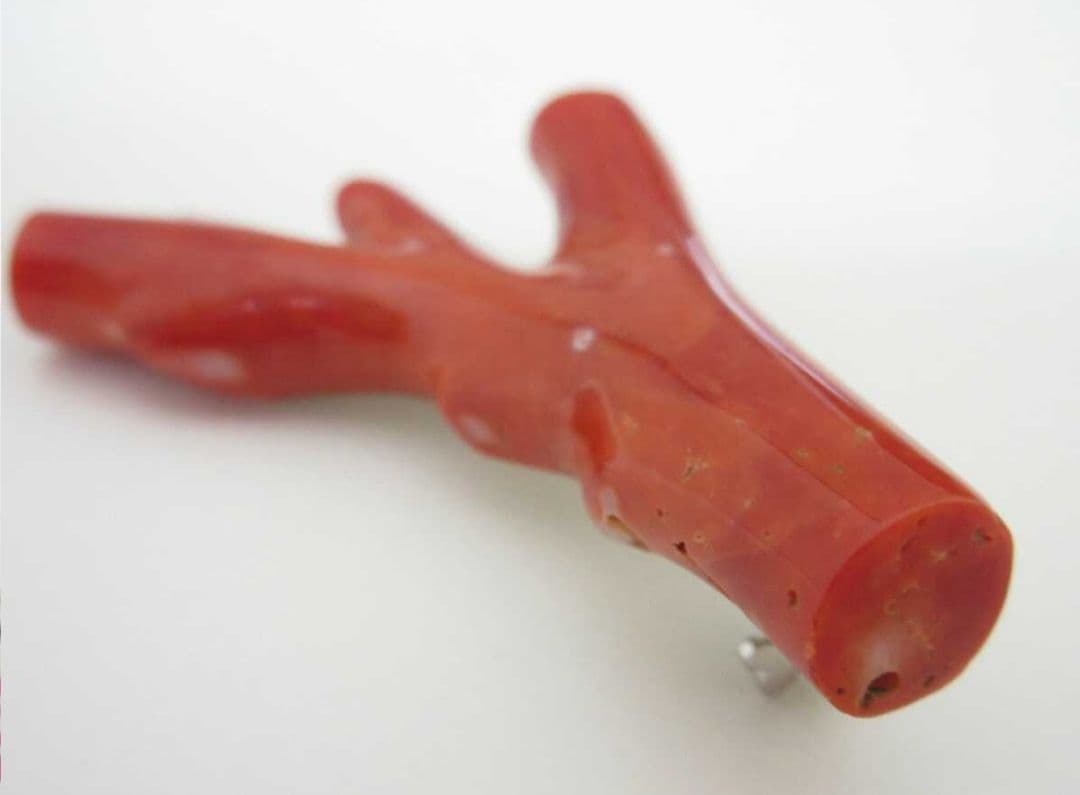 血赤珊瑚 サンゴ 9.7g ブローチ 本珊瑚 h49a