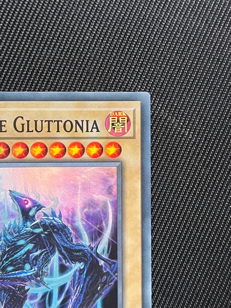 遊戯王 アナザーバースグロットニア ANOTHERVERSE GLUTTONIA - メルカリ