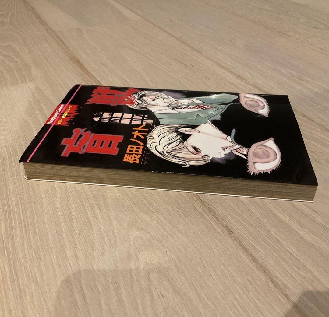 盲獣 アングラ アンダーグラウンド　漫画