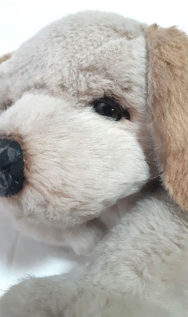 美品】ジョックライン JOCKLINE社 当時物 イタリア製 犬 ゴールデン