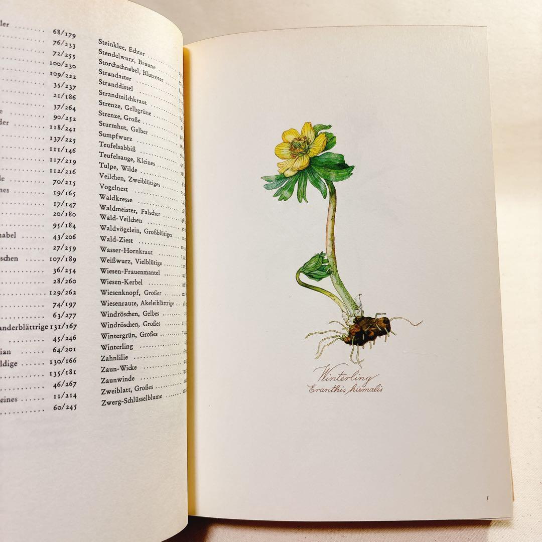 美しい植物画 Elsa Felsko 植物図鑑2冊 Blumen 洋書 すずらん - メルカリ