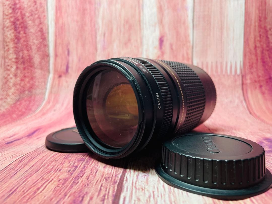 CANON キャノン EF 75-300mm 1:4-5.6 Ⅱ Amazon.com : Canon EF 75-300mm f/4-5.6 III Telephoto Zoom Lens for