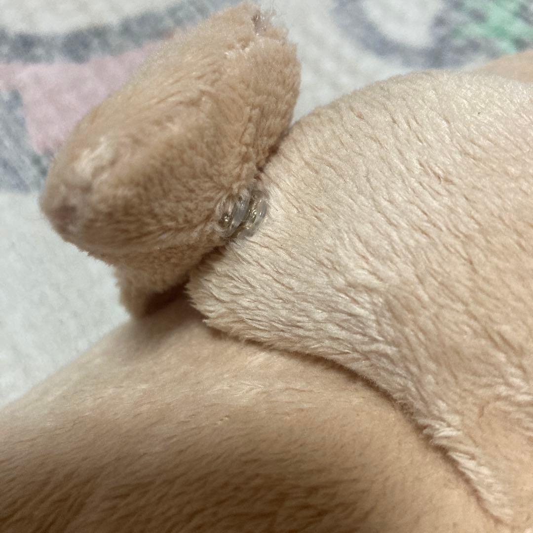 モンスイユ MAY BLUE カメ ぬいぐるみ 中古品 穴あき有 - メルカリ