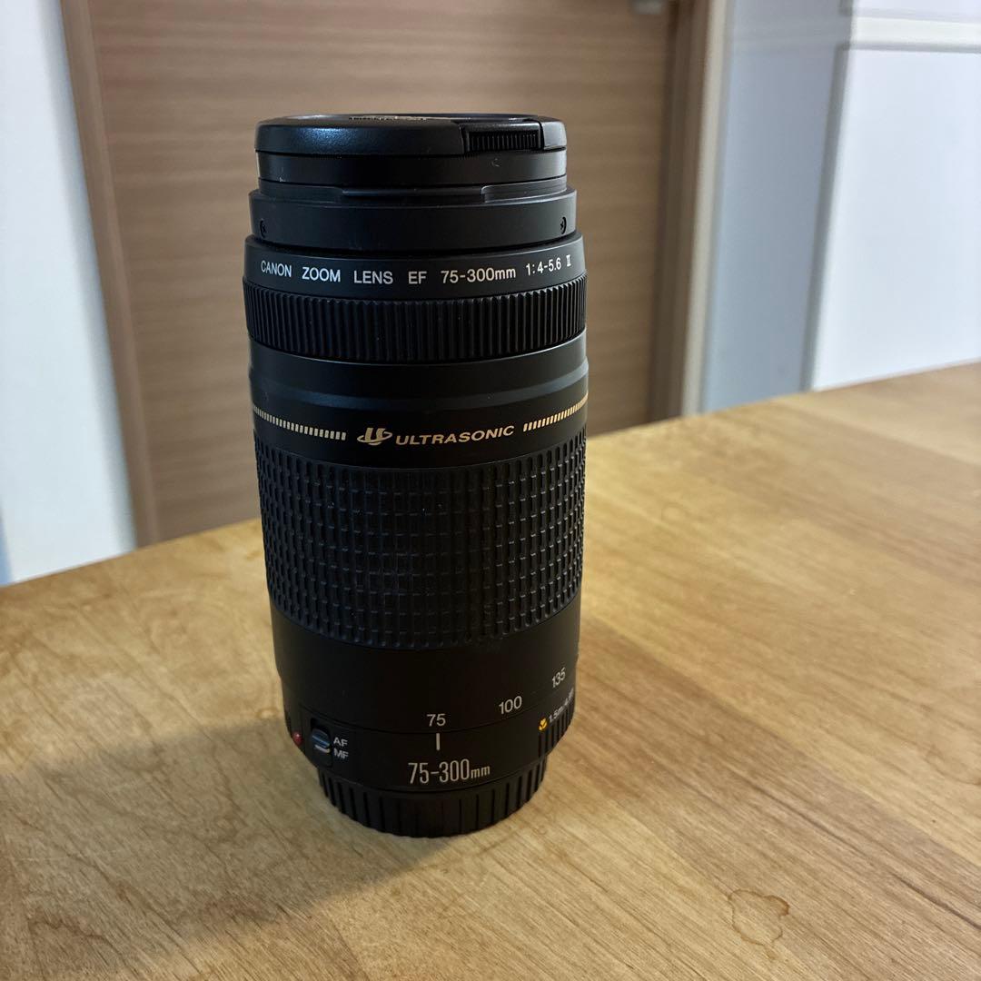 ◇超望遠&高速AF◇Canon純正 75-300mm II型 超望遠レンズ!!◇ ◇超望遠&高速AF◇ Canon純正 75-300mm II型 望遠レンズ ◇ - メルカリ