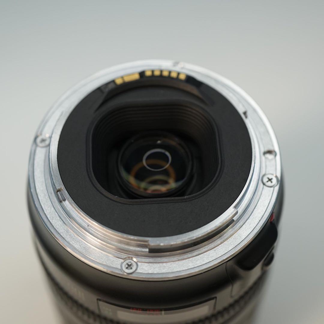 Canon純正 100-300mm 望遠レンズ 美品 a3475 - メルカリ