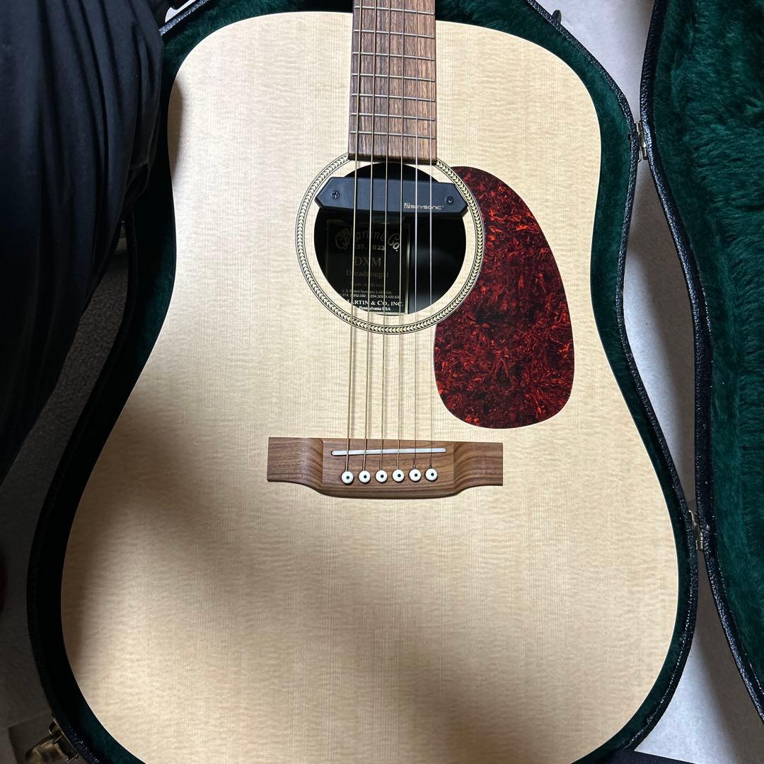 Martin & Co. DXM Dreadnought アコースティックギター