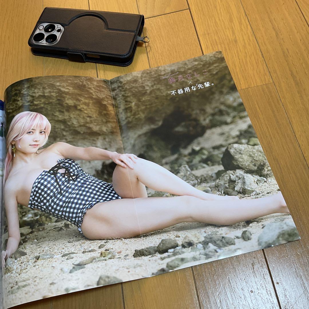 桃月なしこ　両面ポスター6点、切り抜き