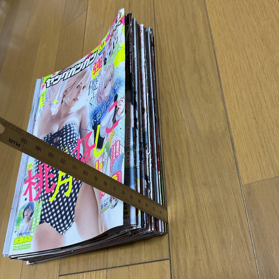 桃月なしこ　両面ポスター6点、切り抜き