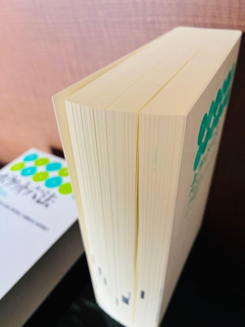 ポケット六法 平成23年版 有斐閣 ハンディタイプ法令集 - メルカリ