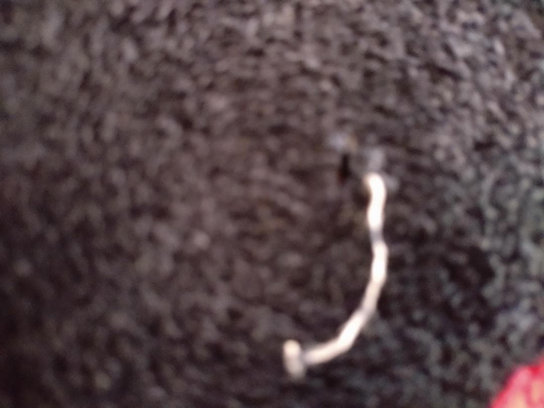 太*号様 矢沢永吉 E FEELIN´ COME HA～HA 1986 黒