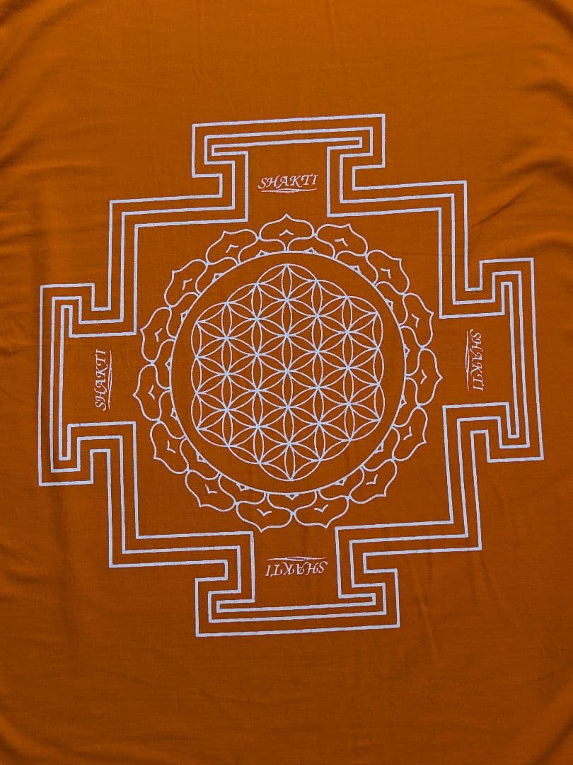 シャクティマット&枕 オレンジ【正規品・タグ付き】 - メルカリ