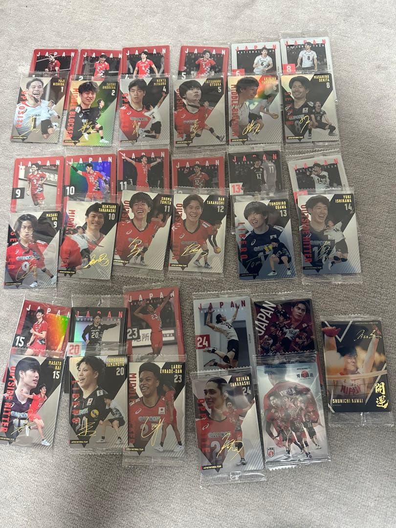 男子バレー日本代表　ウエハースカードコンプリートセット(ユニフォーム入りを除く) 日本代表男子バレーボールの新カード！ バンダイ「ツインウエハース