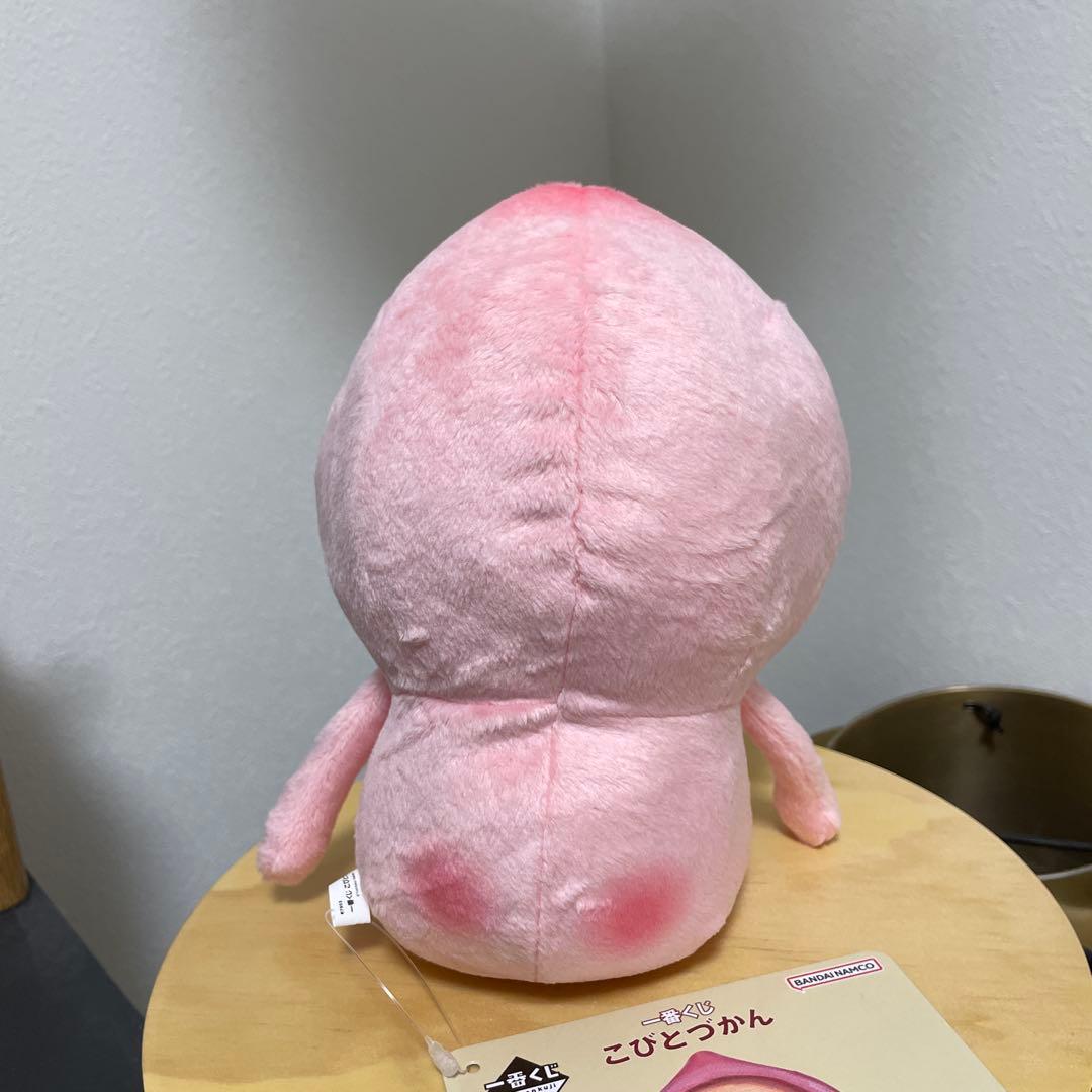 こびとづかん ぬいぐるみ A賞 カクレモモジリ - メルカリ