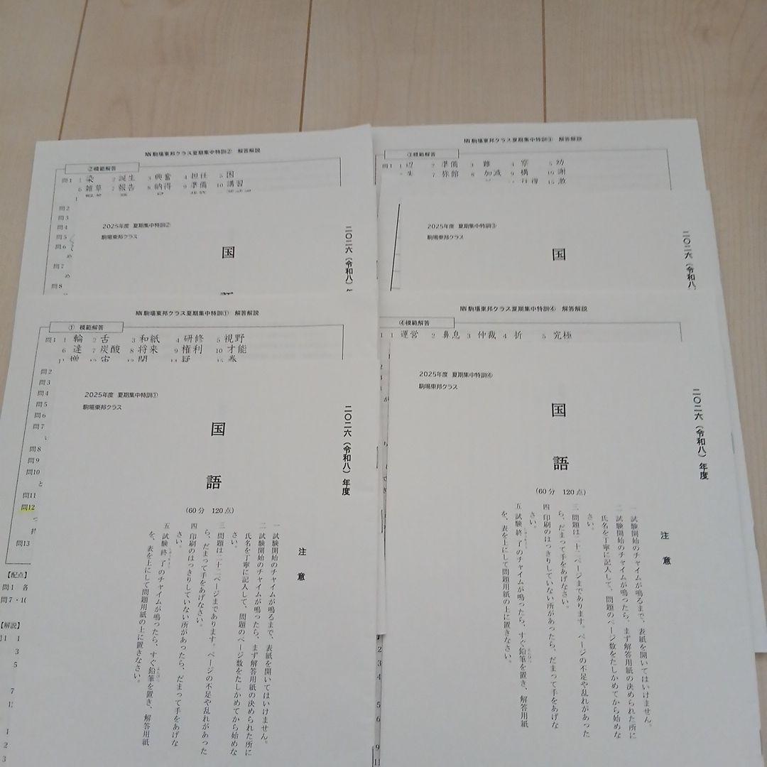 25年度NN駒場東邦夏季集中特訓と問題冊子とそっくりテスト - メルカリ