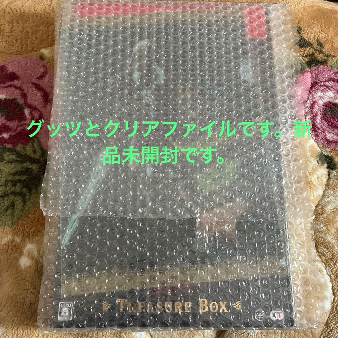 ゼルダ無双 封印戦記 TREASURE BOX グッズのみ 特典クリアファイル付