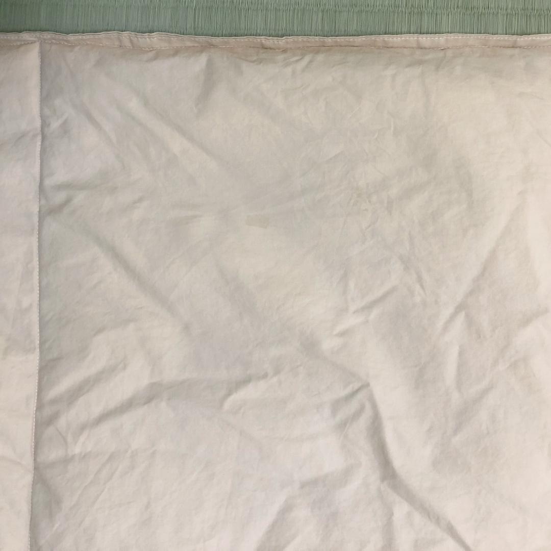 状態良好 羽毛布団 羽毛ふとん 肌掛け シングル Aquascutum - メルカリ