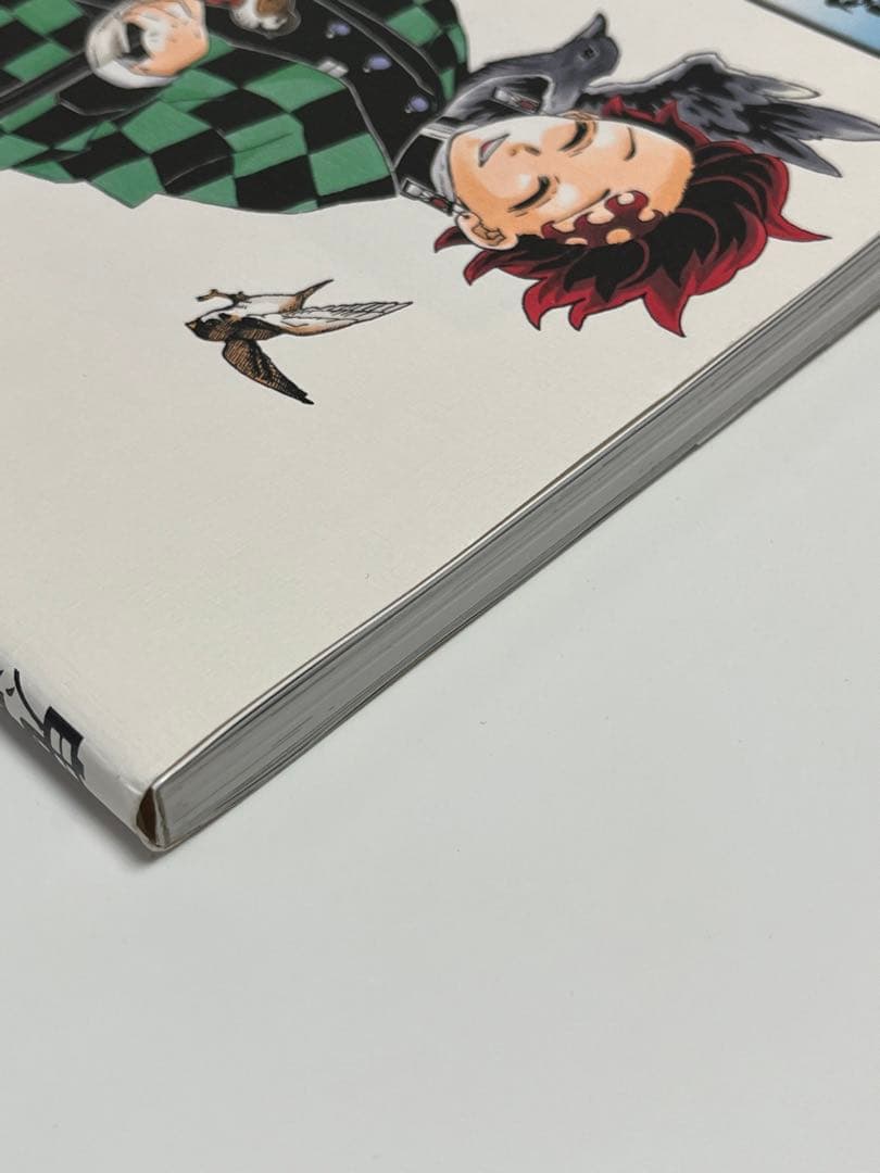 初版 「鬼滅の刃」イラスト記録集 壱 吾峠呼世晴画集―幾星霜 2冊セット