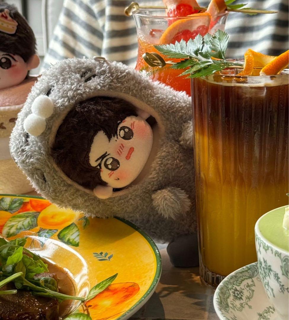 博君一肖10cmぬいぐるみ王一博10cmぬいぐるみ肖战ぬいぐるみbjyx