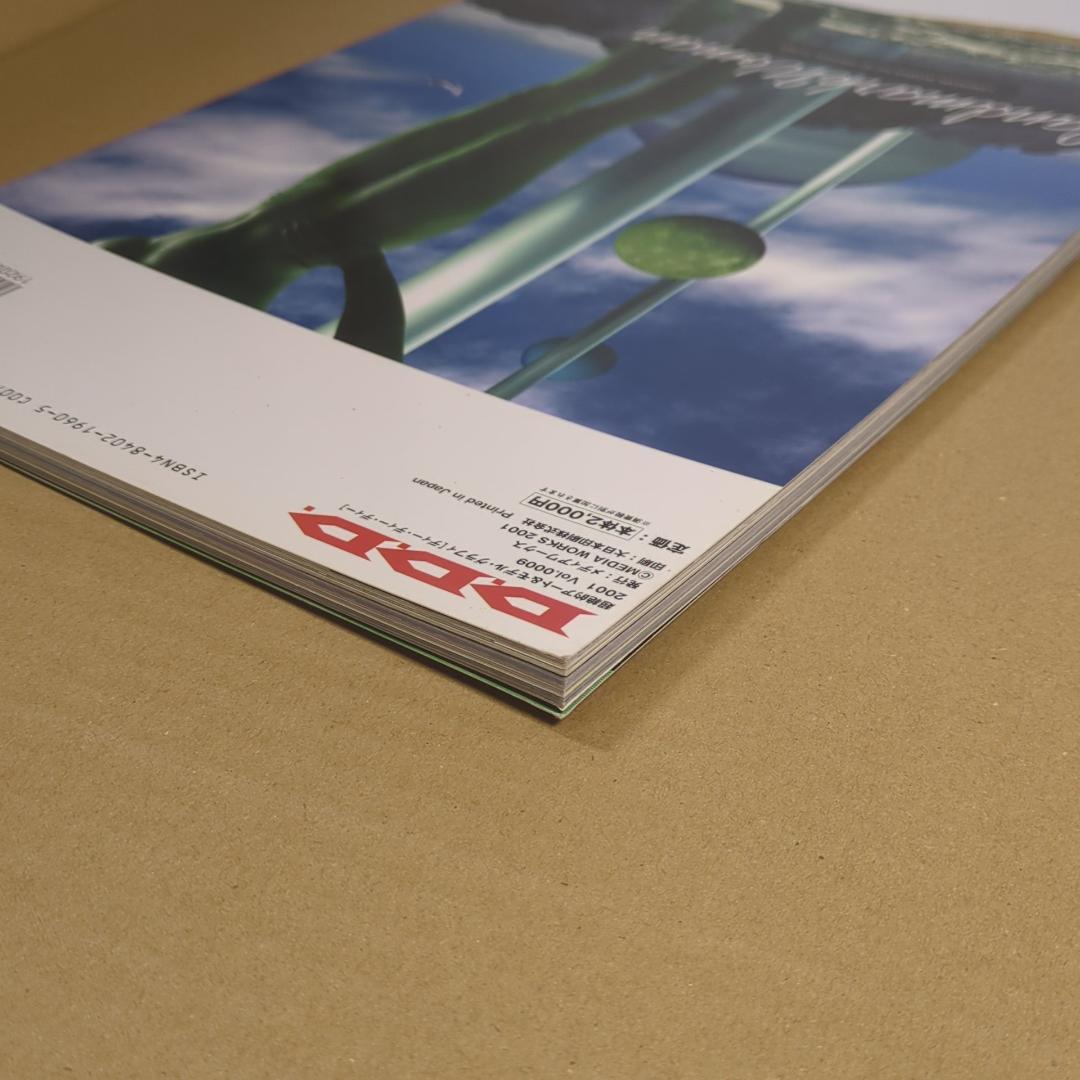 D*1様 D.D.D. vol.0009 超絶的アート＆モデルマガジン