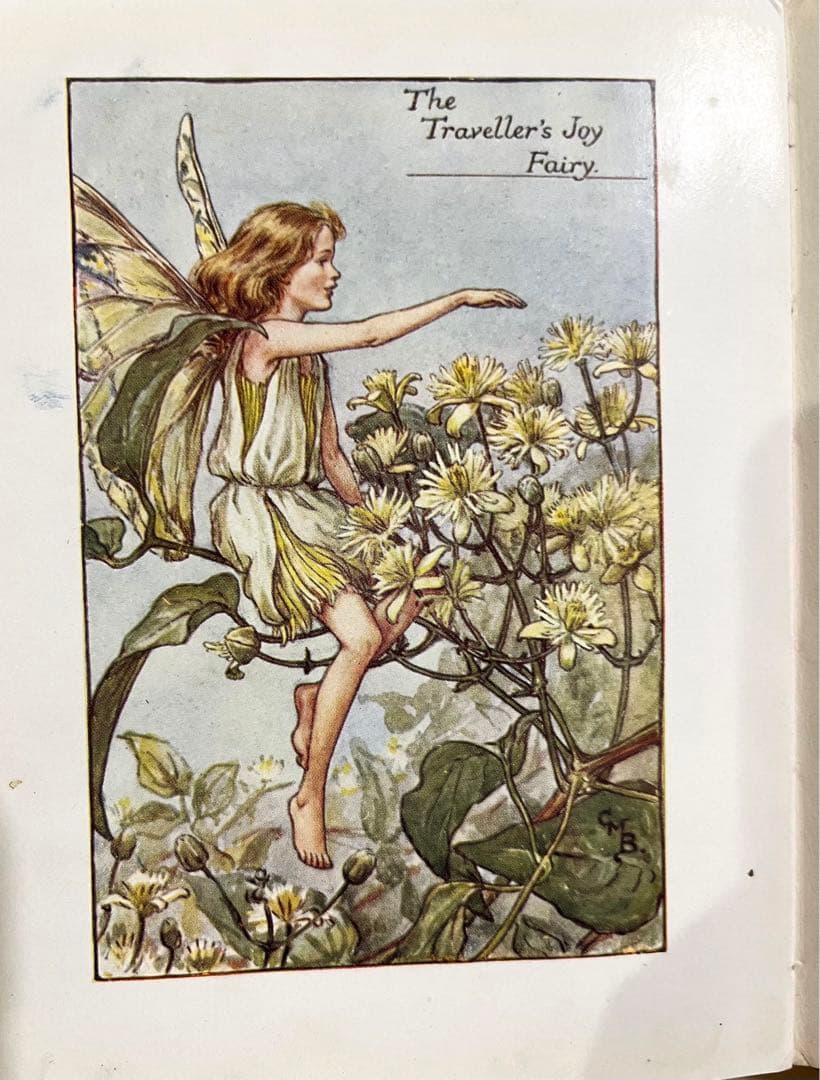 No.261 希少 古書 洋書 絵本 花の妖精 フラワー フェアリーズ - メルカリ