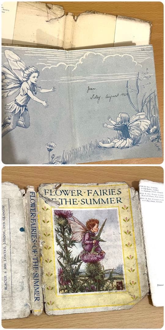 No.261 希少 古書 洋書 絵本 花の妖精 フラワー フェアリーズ - メルカリ
