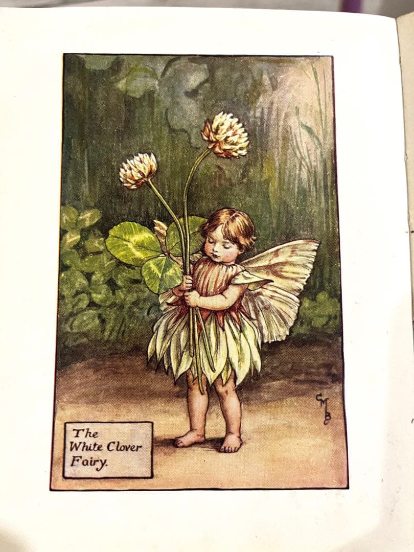 No.261 希少 古書 洋書 絵本 花の妖精 フラワー フェアリーズ - メルカリ