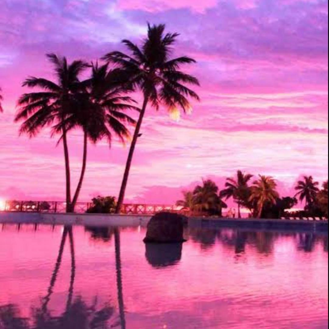 えむえむ 楽天市場】プロジェクトセカイ カラフルステージ！ feat. 初音ミク