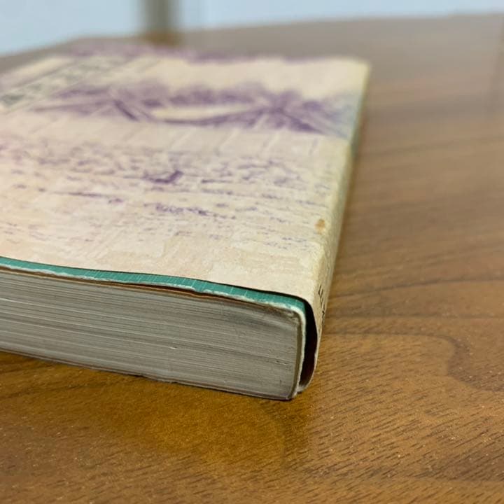 希少！】口語 神判記實 神異霊験実話集 皇大神宮主典 山口起業原撰