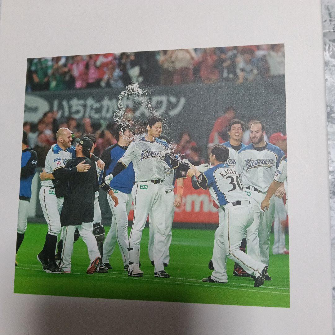 大谷翔平/二刀流 ファイターズ・5年間の軌跡〈3枚組〉DVDdvd日ハム