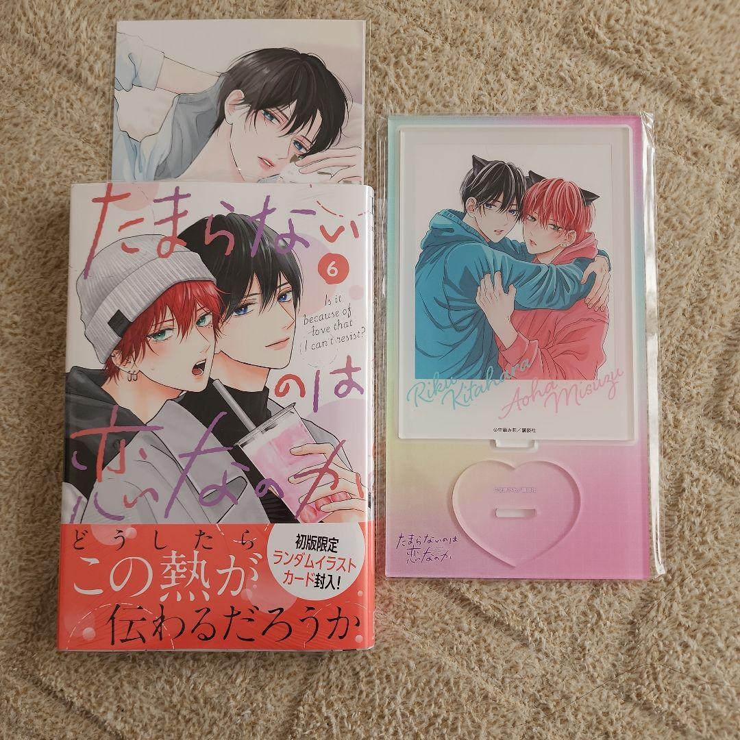 たまらないのは恋なのか 6巻 アニメイトセット【アクリルスタンド付き