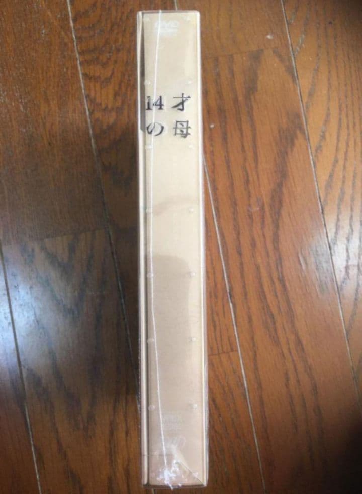 14才の母 愛するために 生まれてきた DVD-BOX〈5枚組〉新品未開封